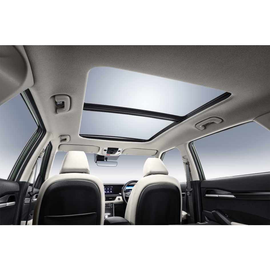 Spacious Comfort, Relaxing Companion